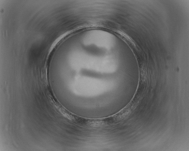 X0000075810886200609221305