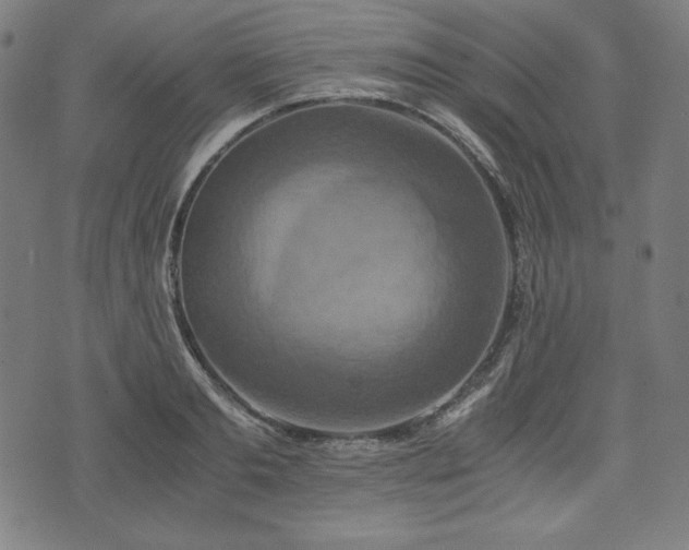 X0000075810893200609221305