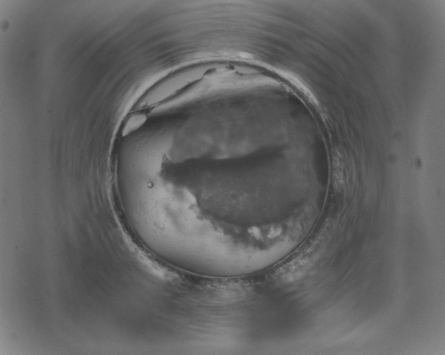 X0000075810895200609221305