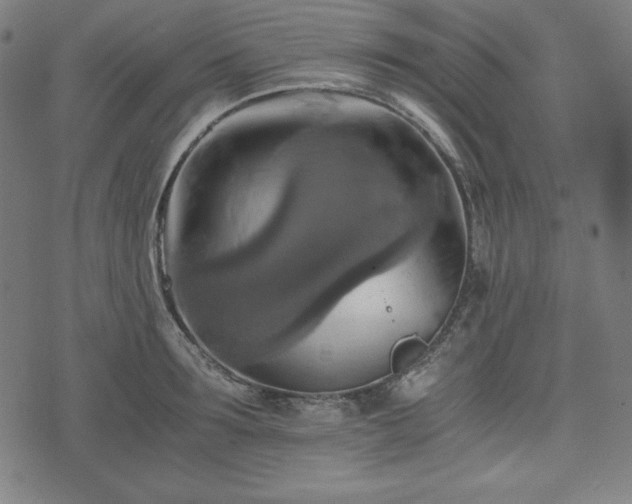 X0000075810899200609221305