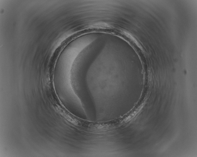 X0000075810923200609221304
