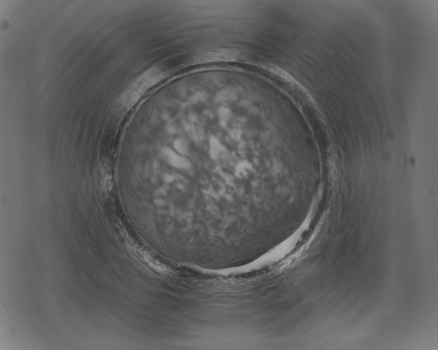 X0000075810929200609221305