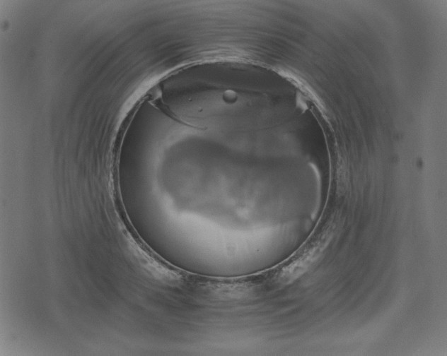 X0000075810941200609221305