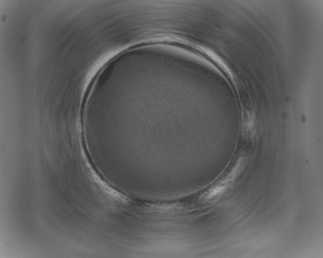 X0000075810951200609221305