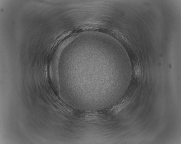 X0000075810964200609221304