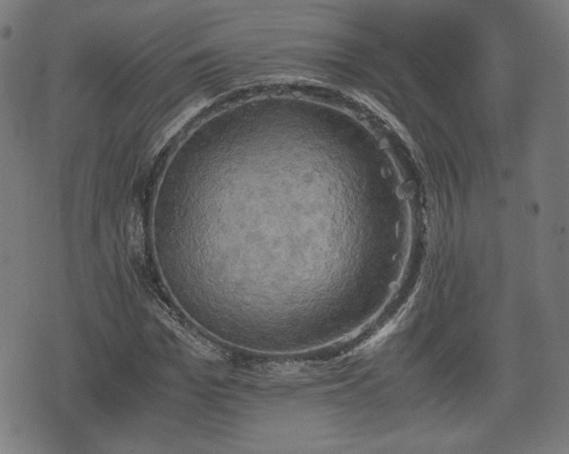 X0000075810969200609221304