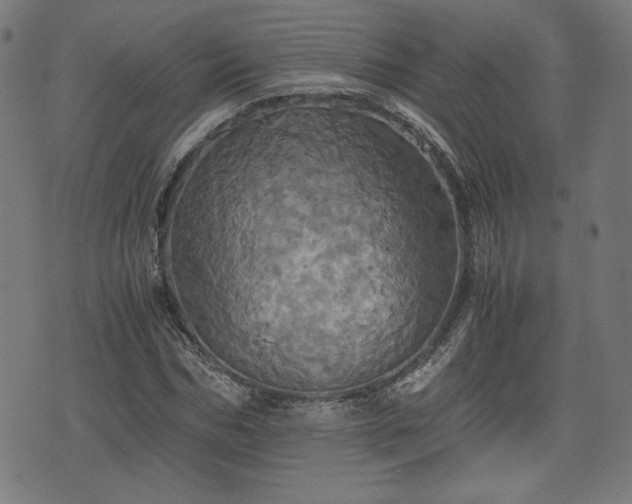 X0000075810970200609221304