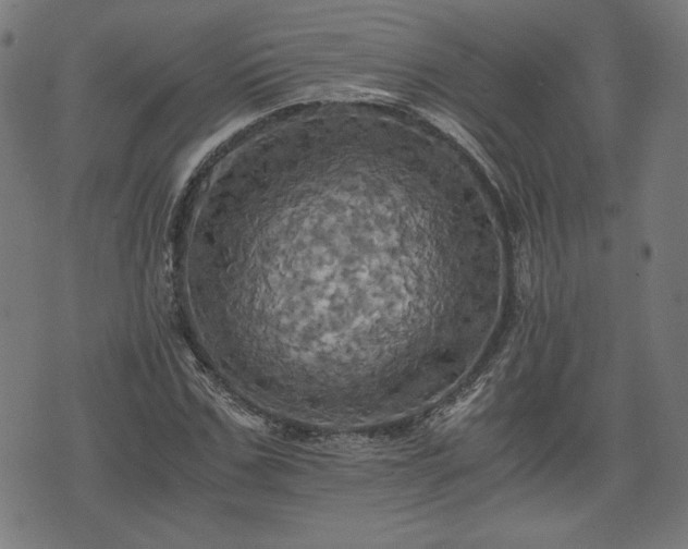 X0000075810971200609221304