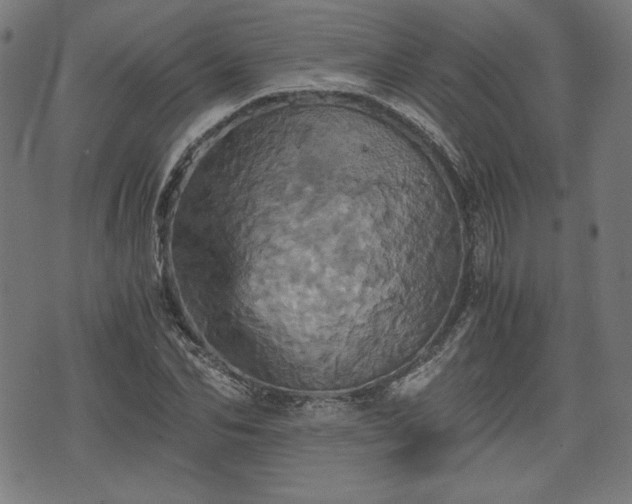 X0000075810974200609221304
