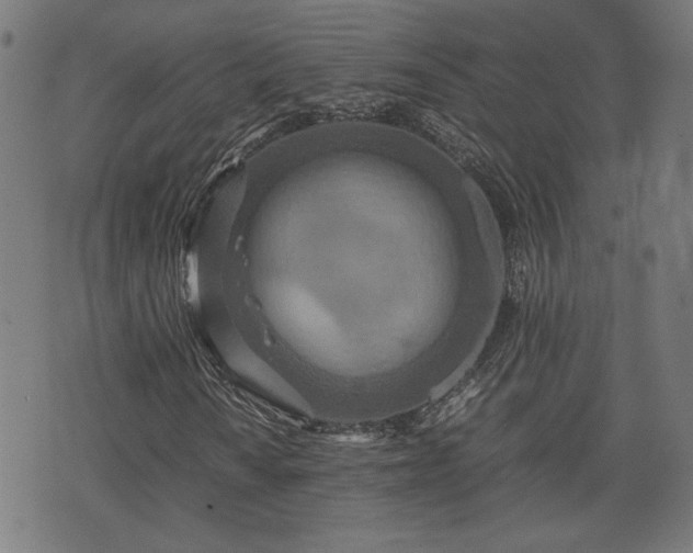 X0000075811010200609221303