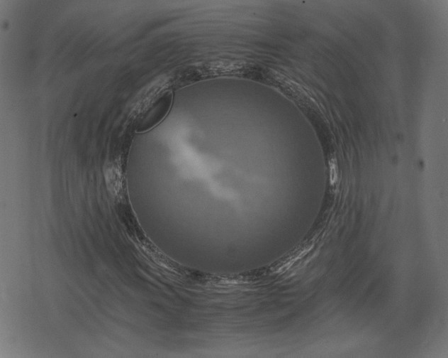 X0000075811011200609221303