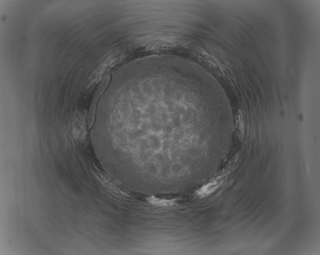 X0000075811012200609221303