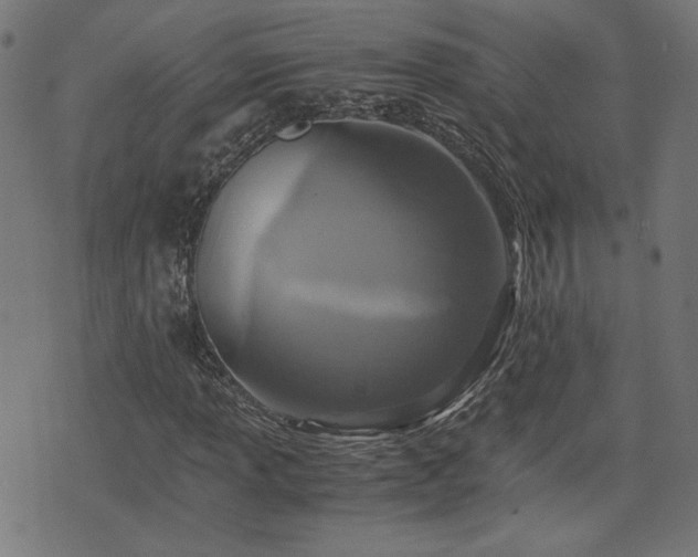 X0000075811013200609221303