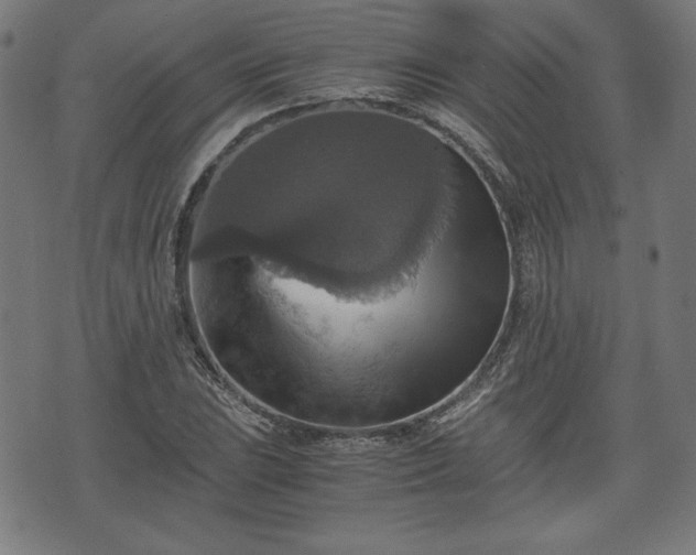 X0000075811023200609221303
