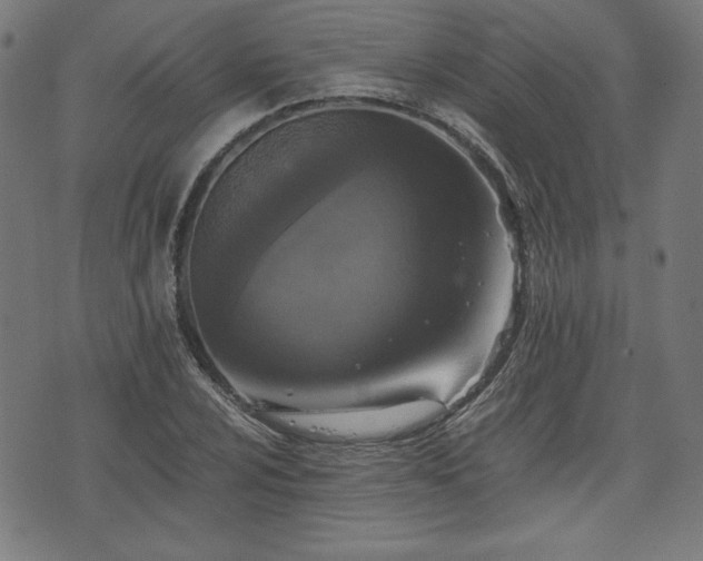 X0000075811024200609221303