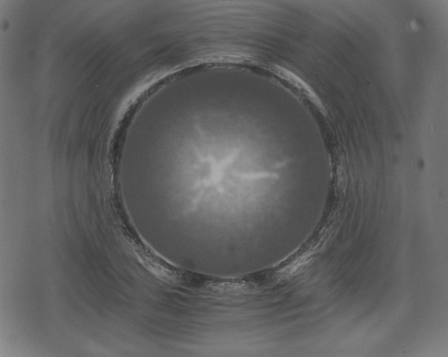 X0000075811027200609221303