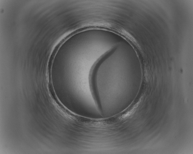 X0000075811028200609221303