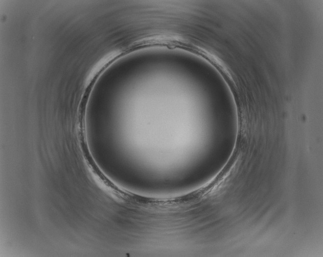 X0000075811042200609221303