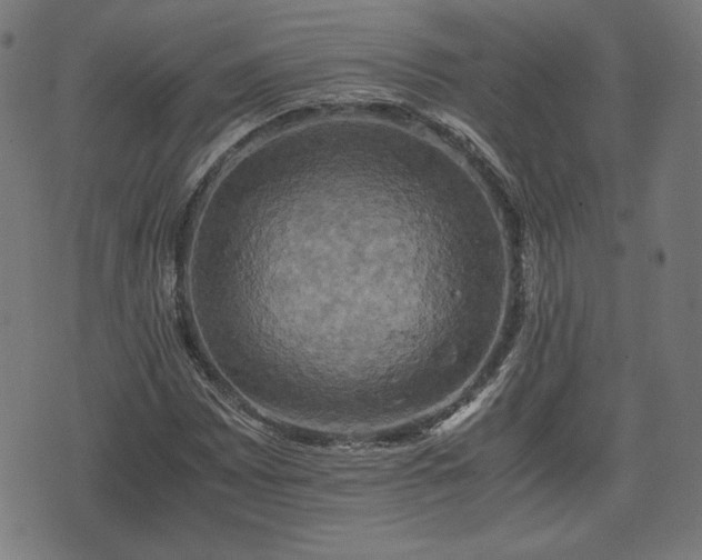 X0000075811065200609221303