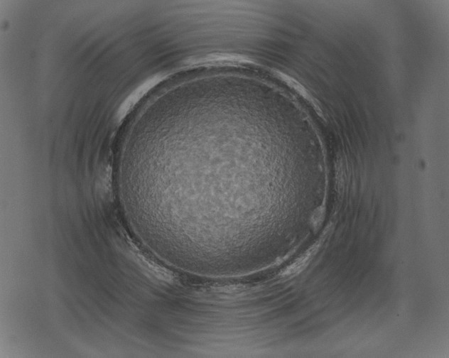 X0000075811066200609221302
