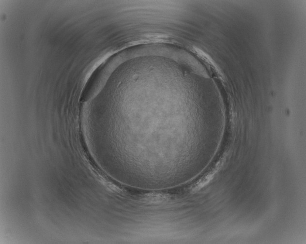 X0000075811081200609221302
