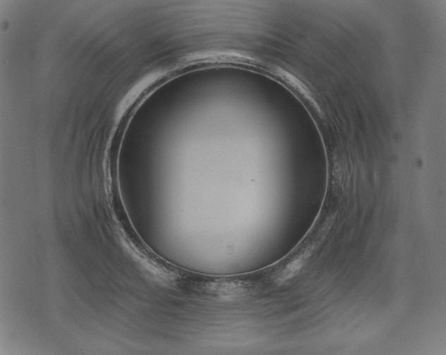 X0000075811082200609221302