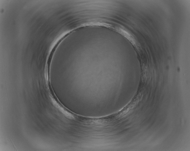 X0000075811084200609221302