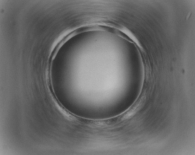 X0000075811101200609221302
