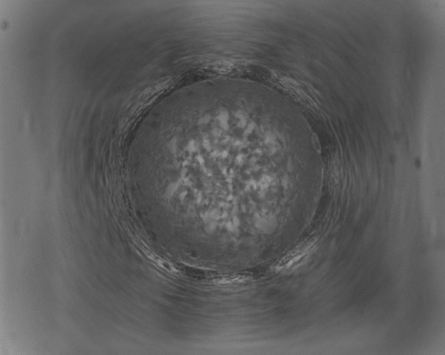 X0000075811105200609221301