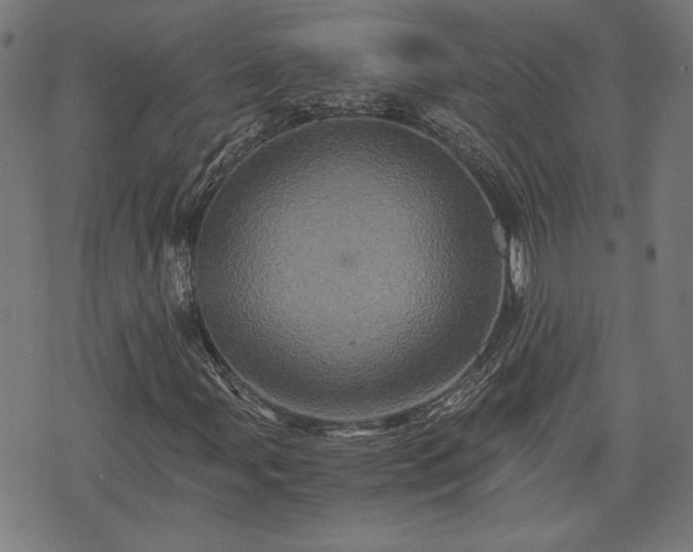 X0000075811107200609221301