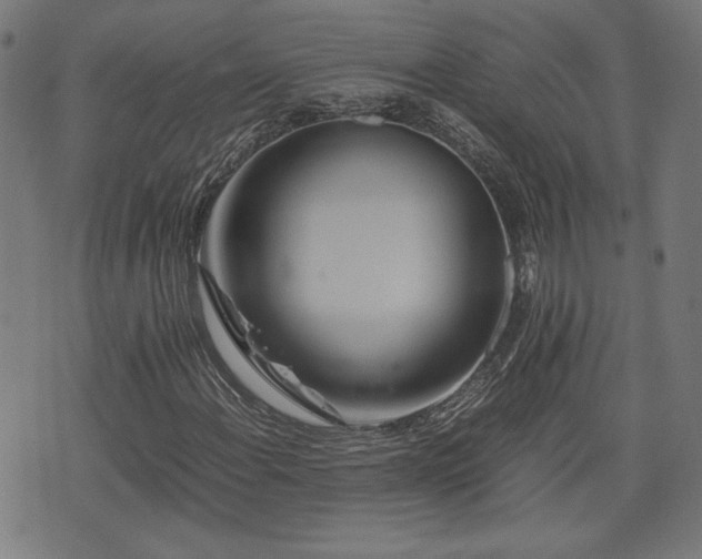X0000075811108200609221301