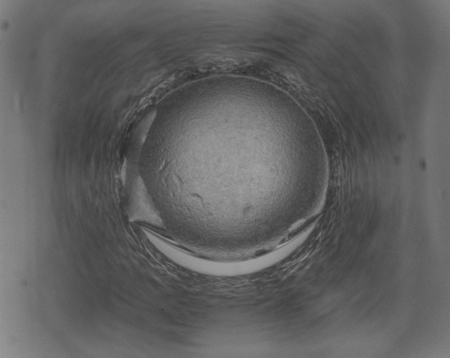 X0000075811109200609221301