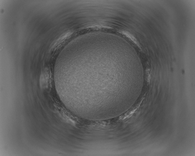X0000075811111200609221301