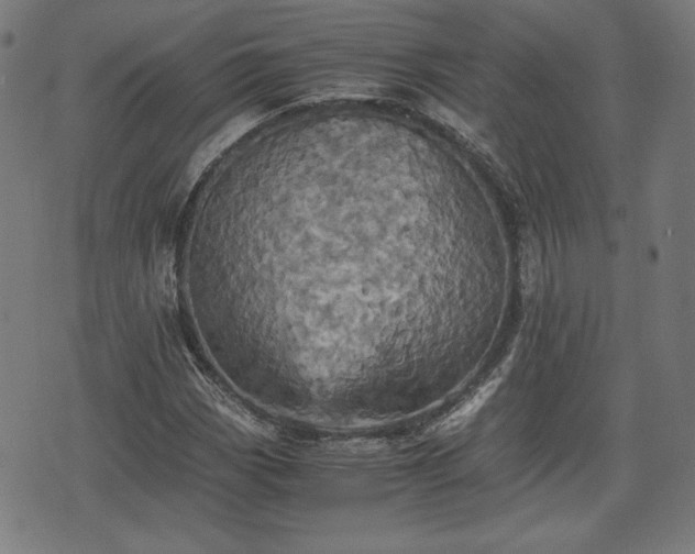 X0000075811113200609221301