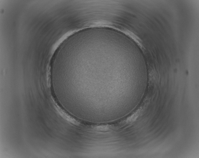 X0000075811126200609221301