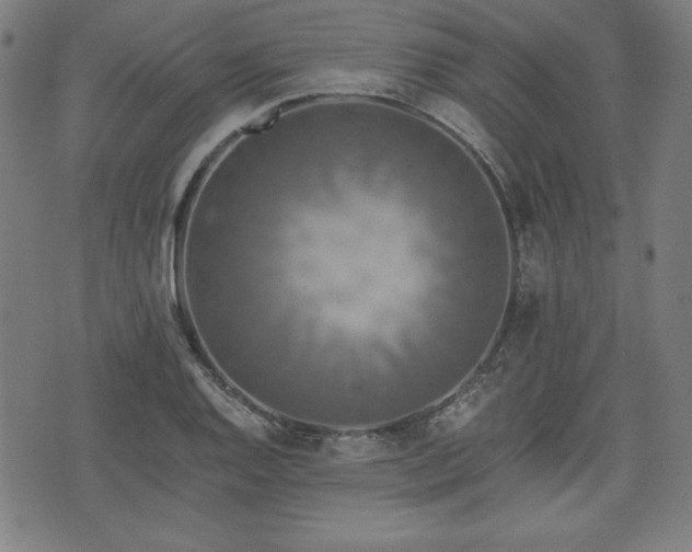 X0000075811128200609221301