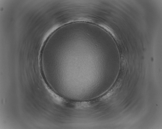 X0000075811135200609221302