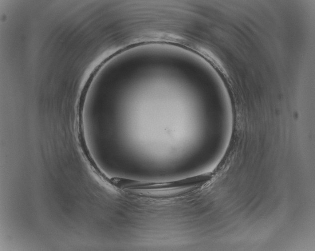 X0000075811136200609221302