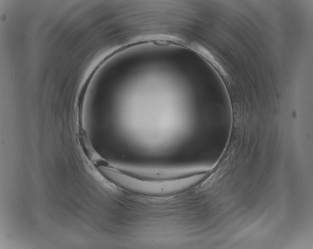 X0000075811140200609221302