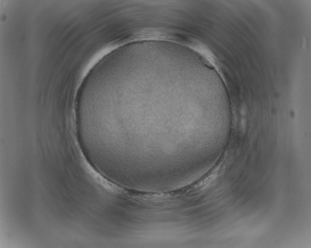 X0000075811147200609221302