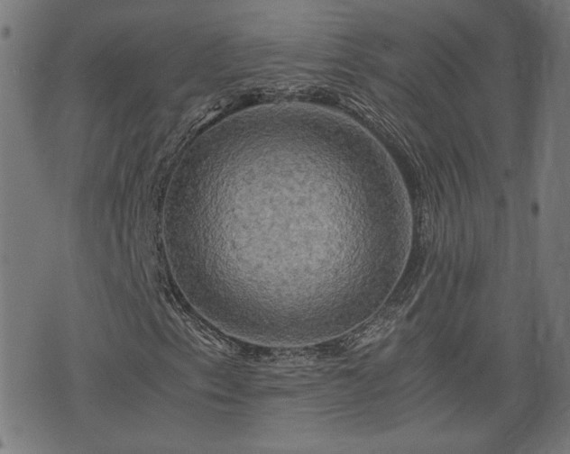 X0000075811153200609221301
