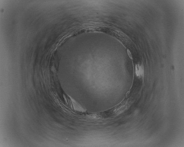 X0000075811155200609221301