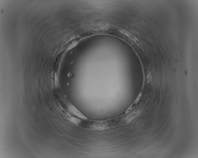 X0000075811156200609221301