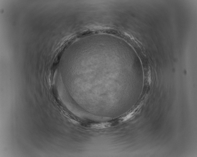 X0000075811157200609221301