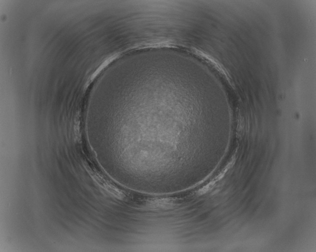 X0000075811162200609221301