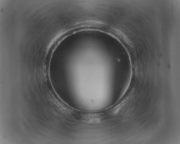 X0000075811164200609221301