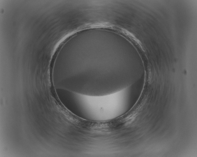 X0000075811174200609221301