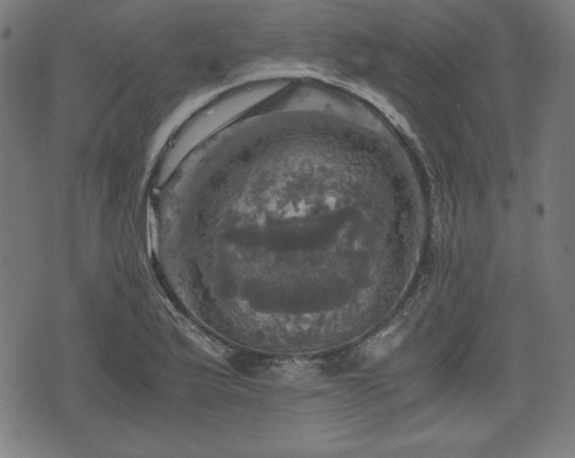 X0000075811175200609221301