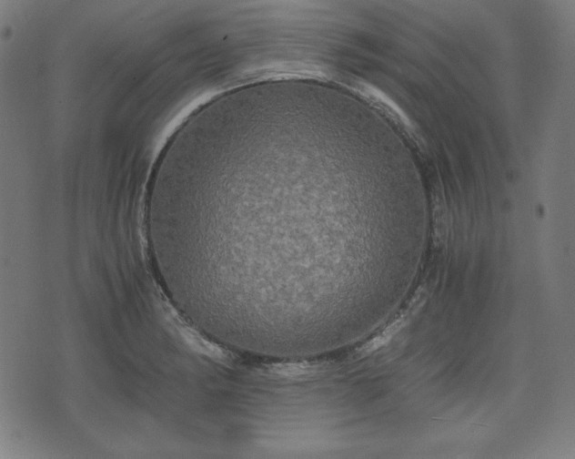 X0000075811182200609221301