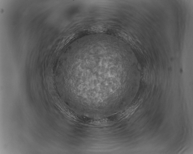 X0000075811201200609221300